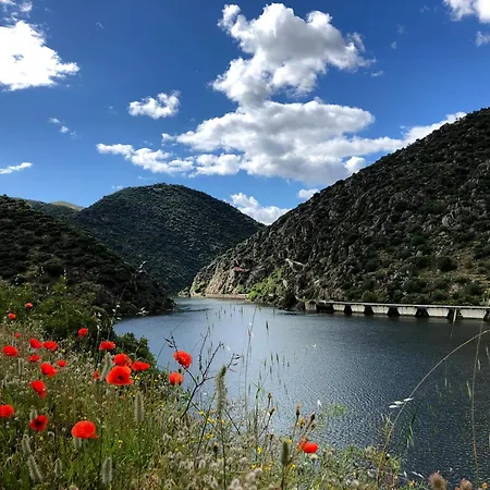 Refugio No Douro - Paz, Conforto E Trilhos * São João da Pesqueira