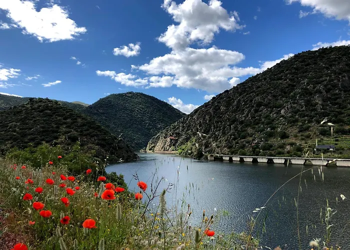 Refugio No Douro - Paz, Conforto E Trilhos * São João da Pesqueira